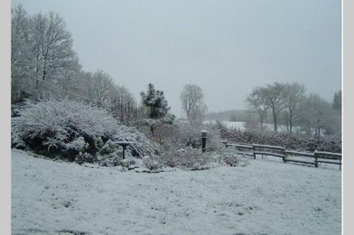 Le Moulin Du Ch�teau