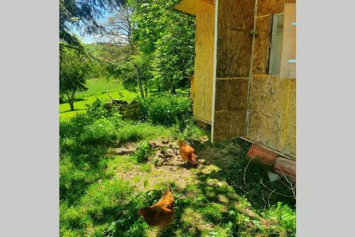 G�te Les Hauts De Villemaloux