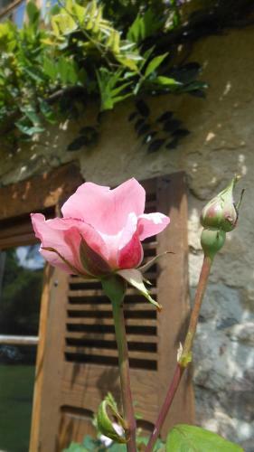 Bed & Breakfast Domaine De Sault