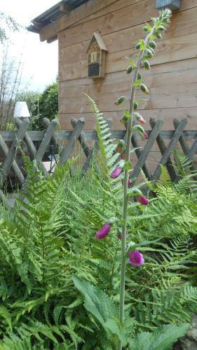 Bed & Breakfast Domaine De Sault