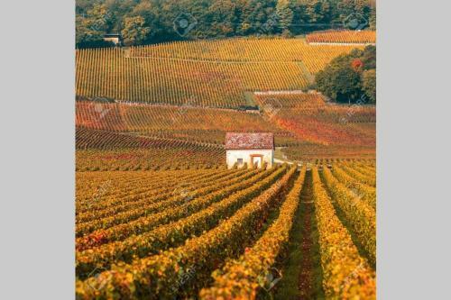 Le Clos Des Jardins