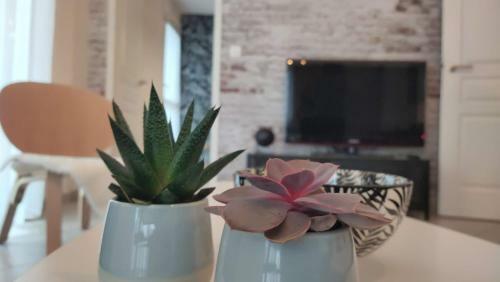 Apartamento Le Mans'art