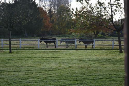 Le Clos Masure