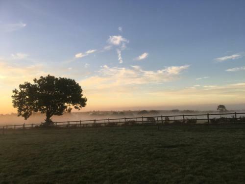 Bed & Breakfast La Bretonniere