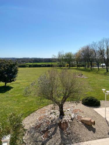 Bed & Breakfast La Cottiniere
