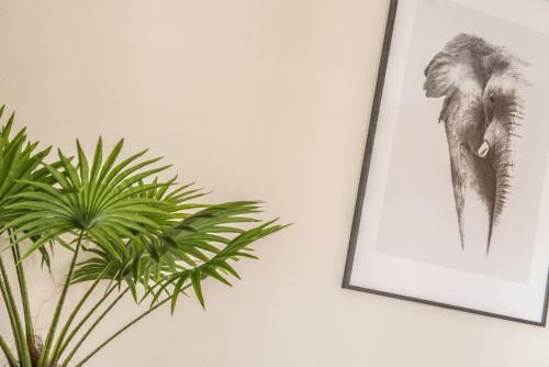 Apartamento Nouveau - L'aventurier - Centre Ville