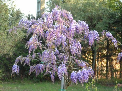 Bed & Breakfast Le Jardin Des Selves
