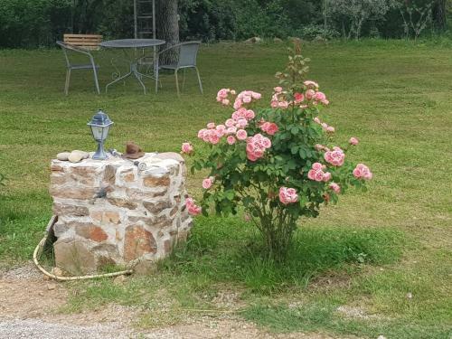 Bed & Breakfast Le Jardin Des Selves