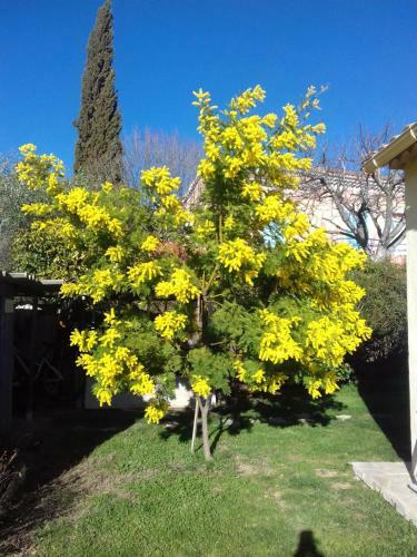 Apartamento Floralie