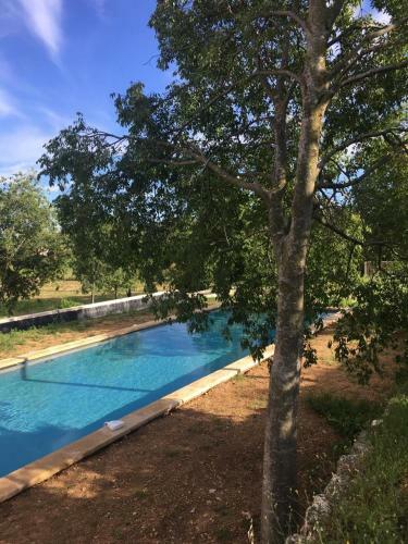 Bed & Breakfast Chateau Des Salles
