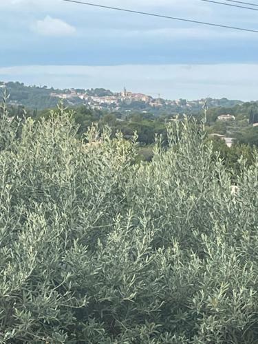 Villa 180 M2 Piscine Chauff�e