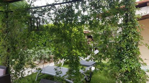 Gite Lapaz/jacuzzi Priv�/piscine
