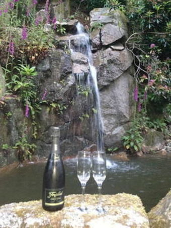 Hostal The Waterwheel Inn