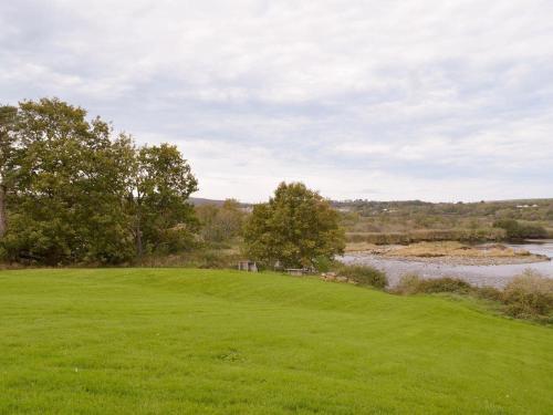 Teifi