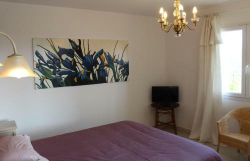 Bed & Breakfast Bellevue