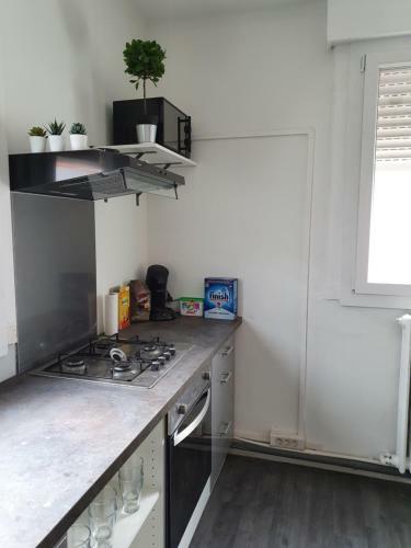 Apartamento New! Joli F1 + Parking - Hyper Centre Dunkerque