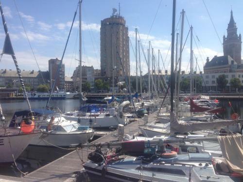 Apartamento Joli 2 Pi�ces Dans Une Maison Malouine de Charme