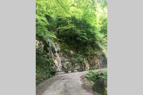 Apartamentos Cocon de La Vall�e D'ossau , V�ritable Havre de Paix - 4 � 6 Pers