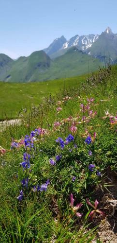 Apartamento L' Aubisque