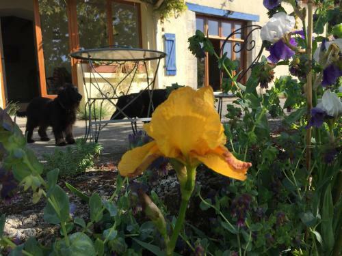 Bed & Breakfast Chambres D'hotes Des Forets