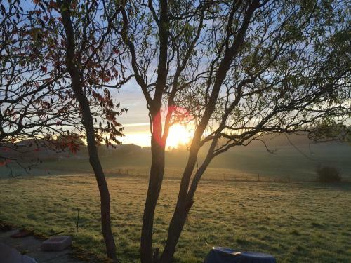 Bed & Breakfast Chambres D'hotes Des Forets