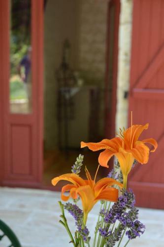 Bed & Breakfast La Casa Nobili
