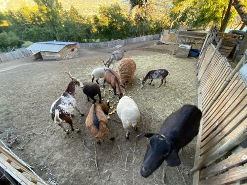 Hostal La Ferme Du Riouclar