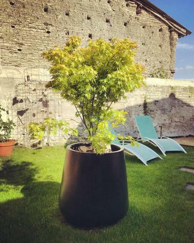 Bed & Breakfast Chemin Des Ormeaux