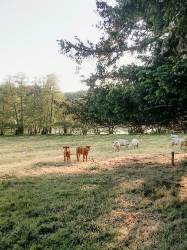 Hostal Ch�teau Du Domaine Du R�veillon