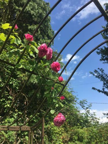 Bed & Breakfast Le Cottage Mirabelle