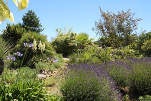 Bed & Breakfast La Barderie