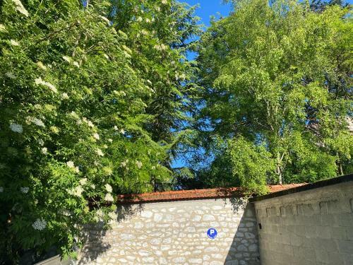 Apartamento Champagne Avenue Epernay City Center Nice View