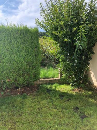 Apartamento L?�chapp�e Bulles
