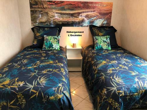 Apartamentos La Petalerie