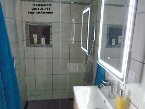 Apartamentos La Petalerie