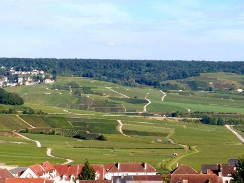 Apartamento �pernay Capital De Champagne