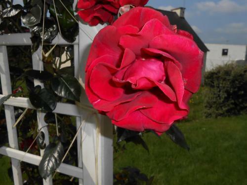 Bed & Breakfast La Roseraie