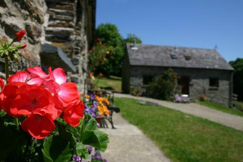 Troedyrhiw Holiday Cottages