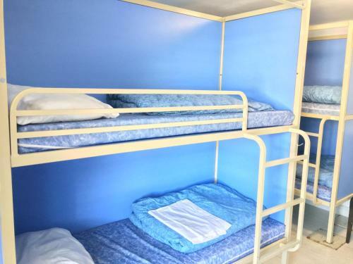 Albergue Smart Brighton Beach