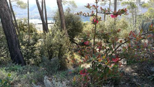 Bed & Breakfast La Pin�de Du Lac