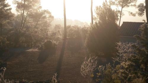 Bed & Breakfast La Pin�de Du Lac
