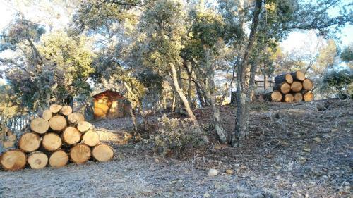 Bed & Breakfast La Pin�de Du Lac