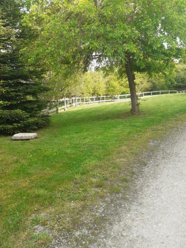 Bed & Breakfast Auverg'nature Chambre Cocon