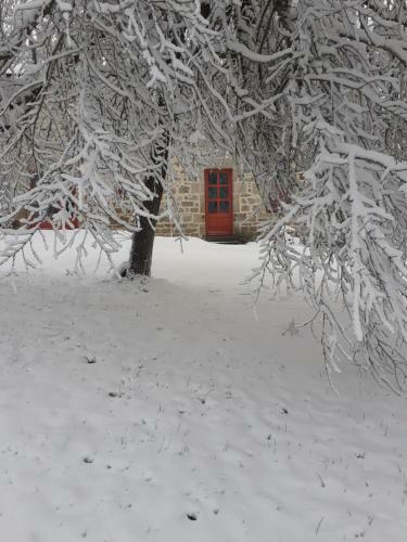 Bed & Breakfast Auverg'nature Chambre Cocon