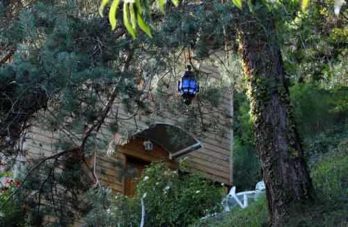 La Maisonnette En Bois