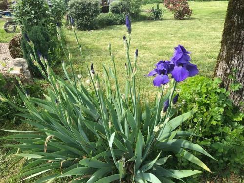 Corps De Ferme Avec Un Immense Jardin Agr�able