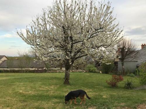 Corps De Ferme Avec Un Immense Jardin Agr�able