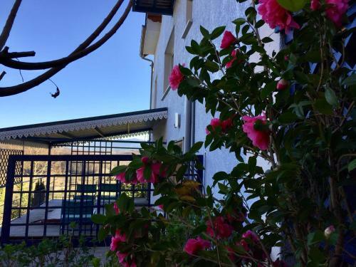 Apartamento G�tes De La Maison Bleue D'estialescq