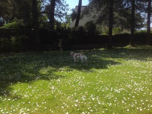 Apartamento Villa Aiguemarine