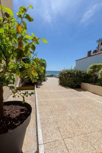 Apartamento Un Duplex � La Mer